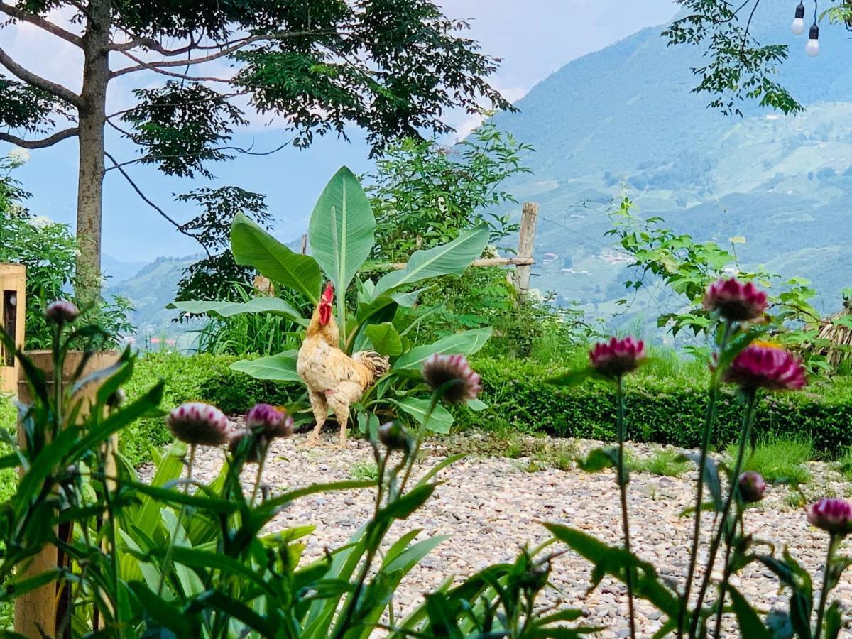 Sapa Rosie House Hotel Kültér fotó