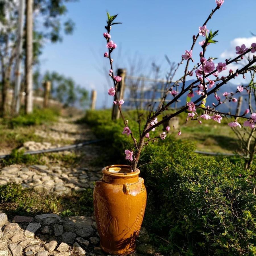 Sapa Rosie House Hotel Kültér fotó